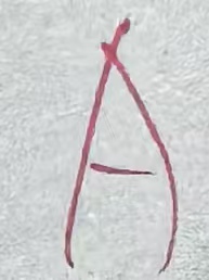 生物`苏卓勤老师`